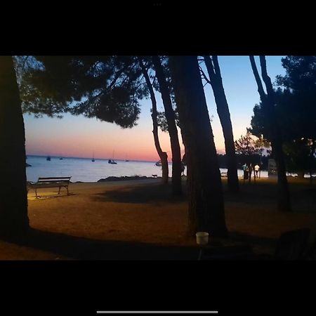 Apartman Sija Novigrad Novigrad  Bagian luar foto